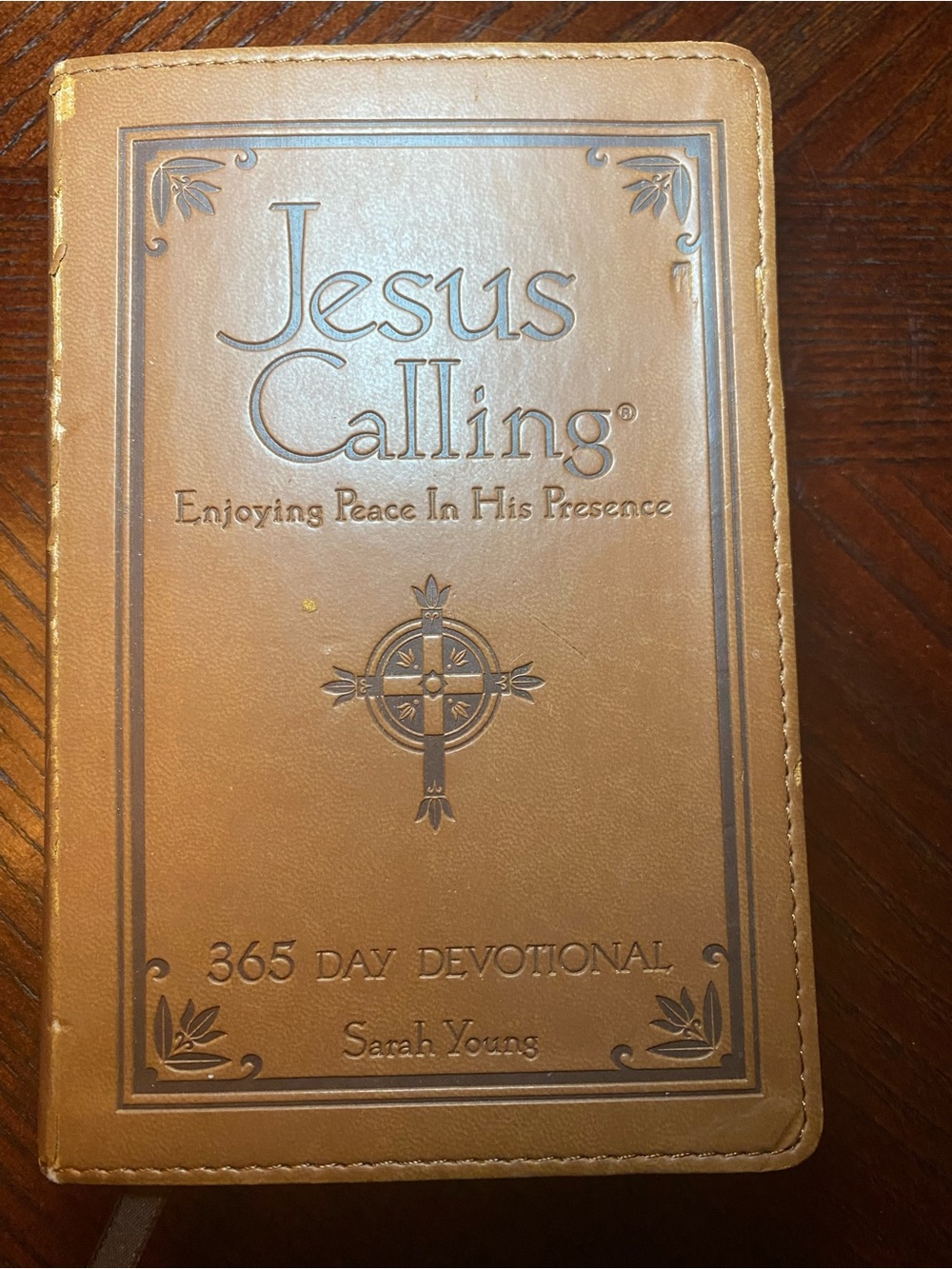 Jesus Calling Enjoying Peace In His Presence by Sarah Young 365 Day Devotional